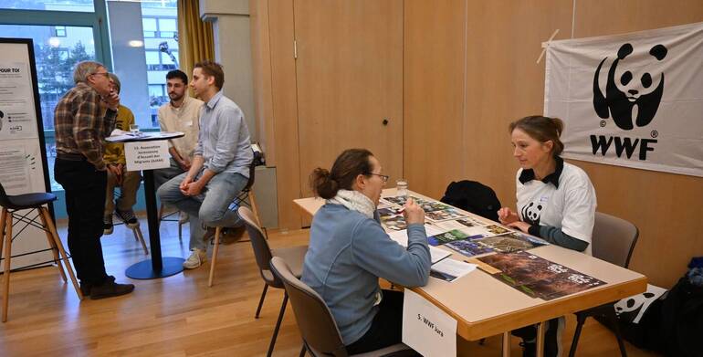 Description de l'image